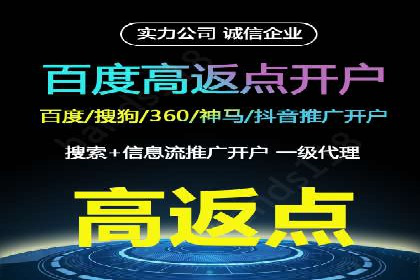 SEM竞价推广案例：打造行业领先的广告投放策略